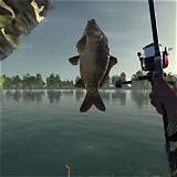 fishing game online