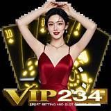 vip234